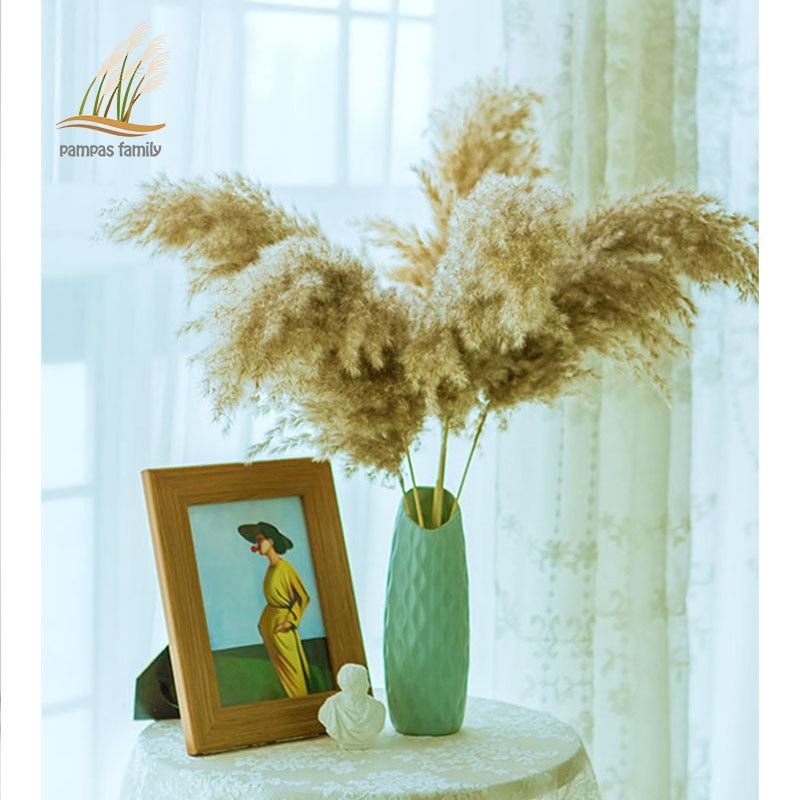 Dried Pampas Grass Decor with Vase