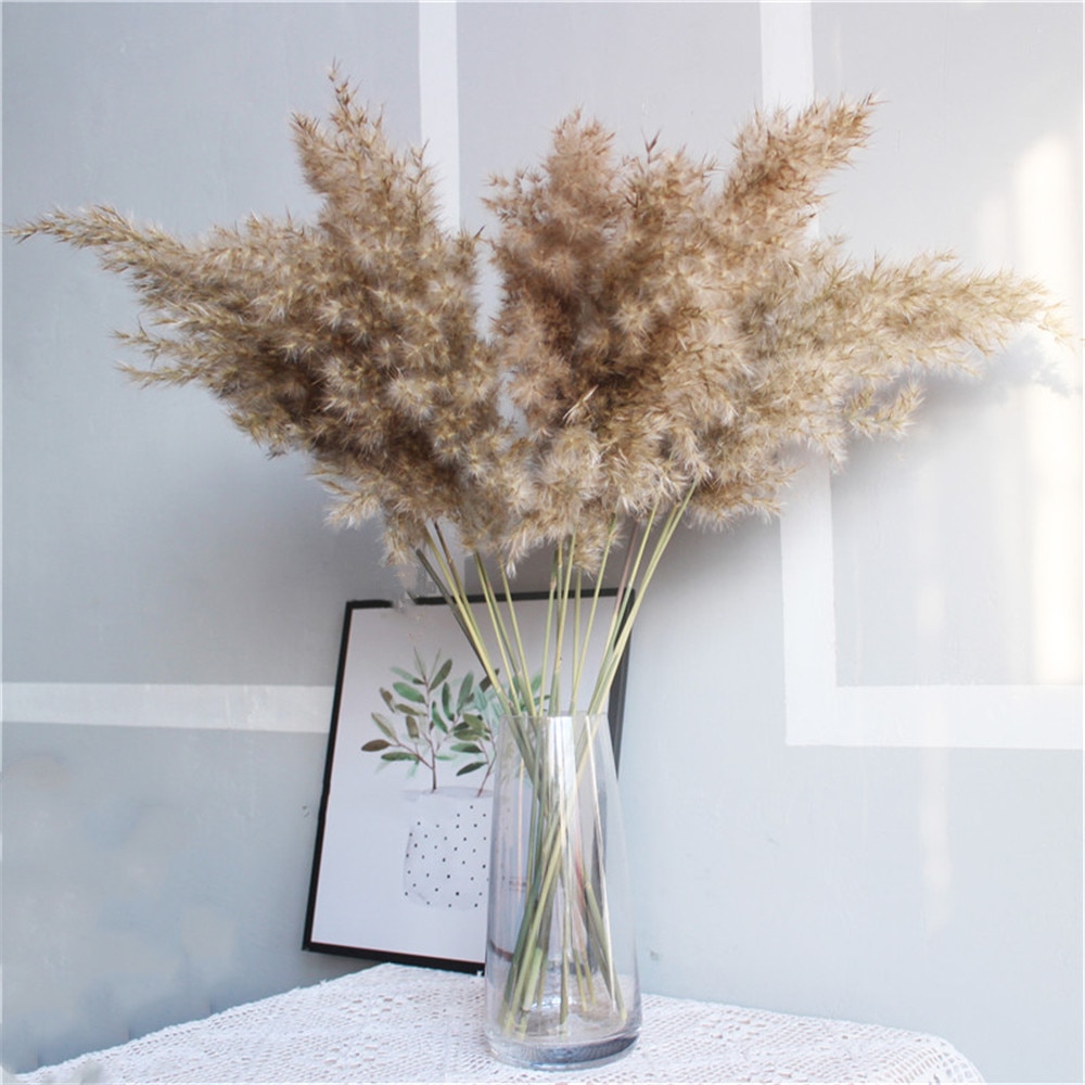 Dried Pampas Grass Rustic Decoration (20 pcs)