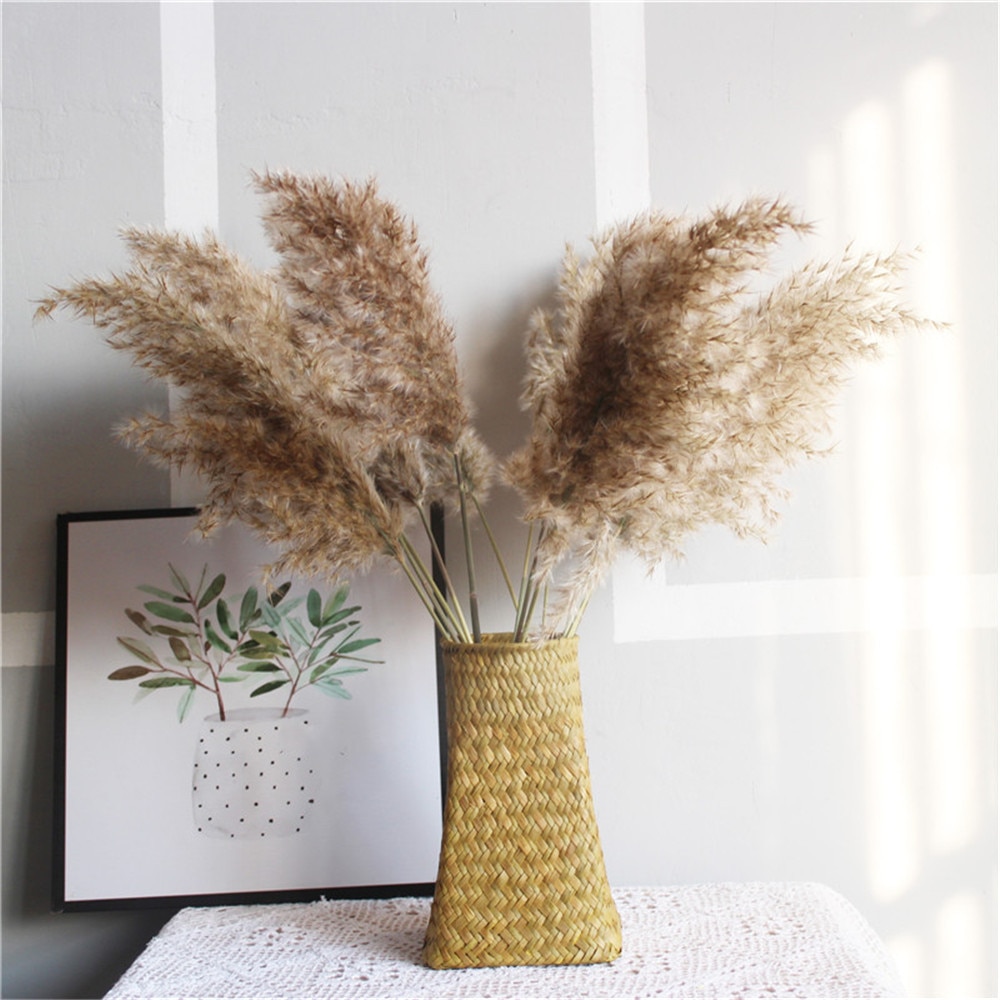 Dried Pampas Grass Rustic Decoration (20 pcs)