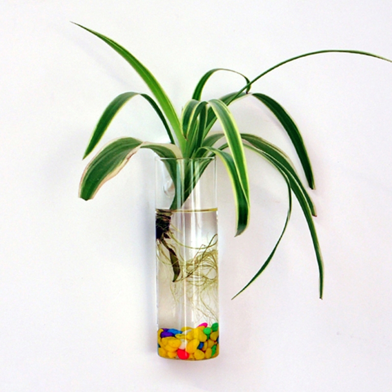 Hanging Wall Vase Glass Container