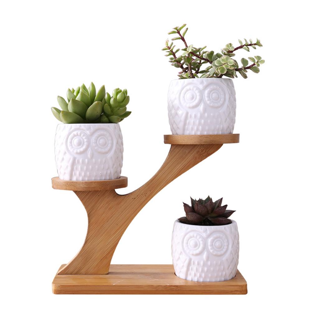 Small Succulent Pots Holder Set