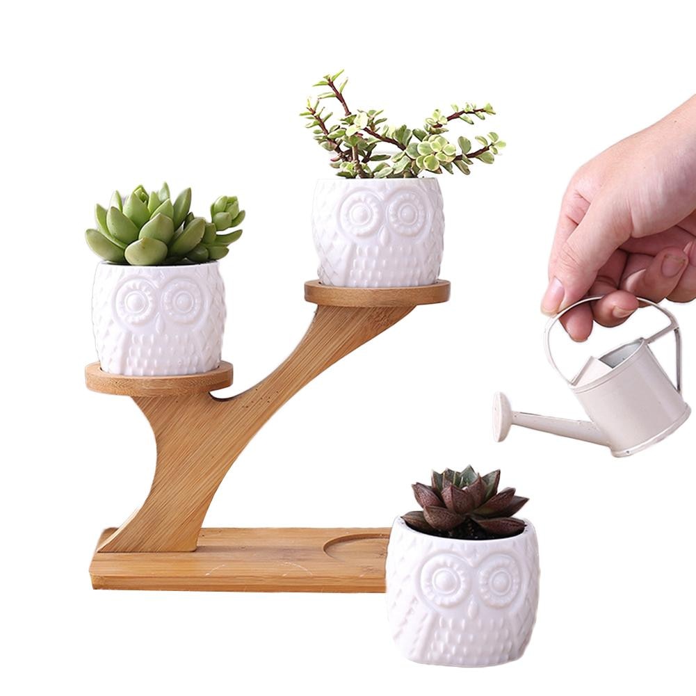 Small Succulent Pots Holder Set