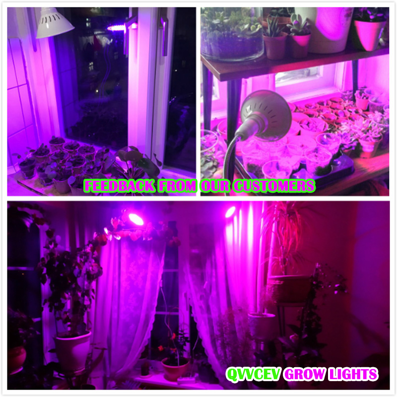 Indoor Grow Lights With Clip