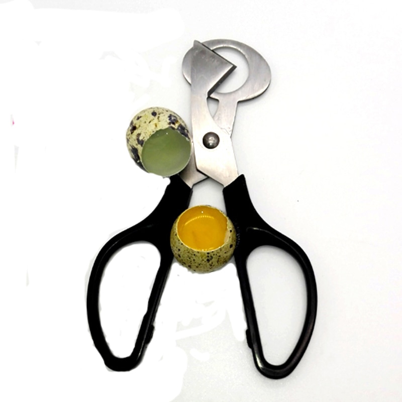 Stainless Steel Handheld Egg Scissor