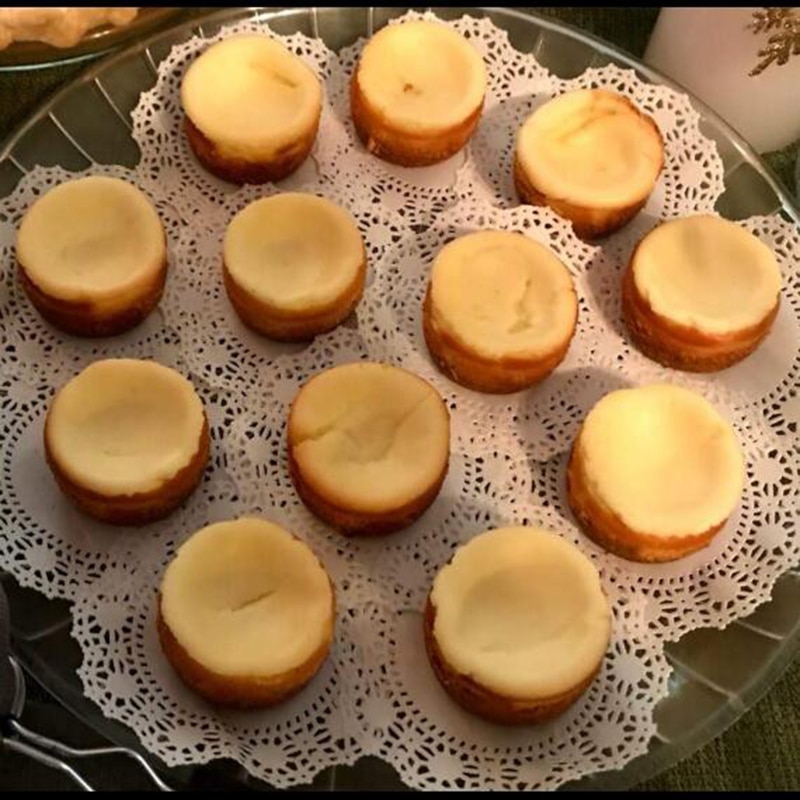 Mini Cheesecake Mould Non-Stick Tray