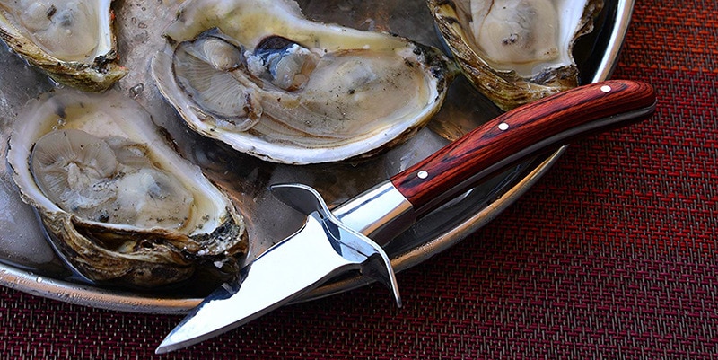 Oyster Knife Stainless Steel