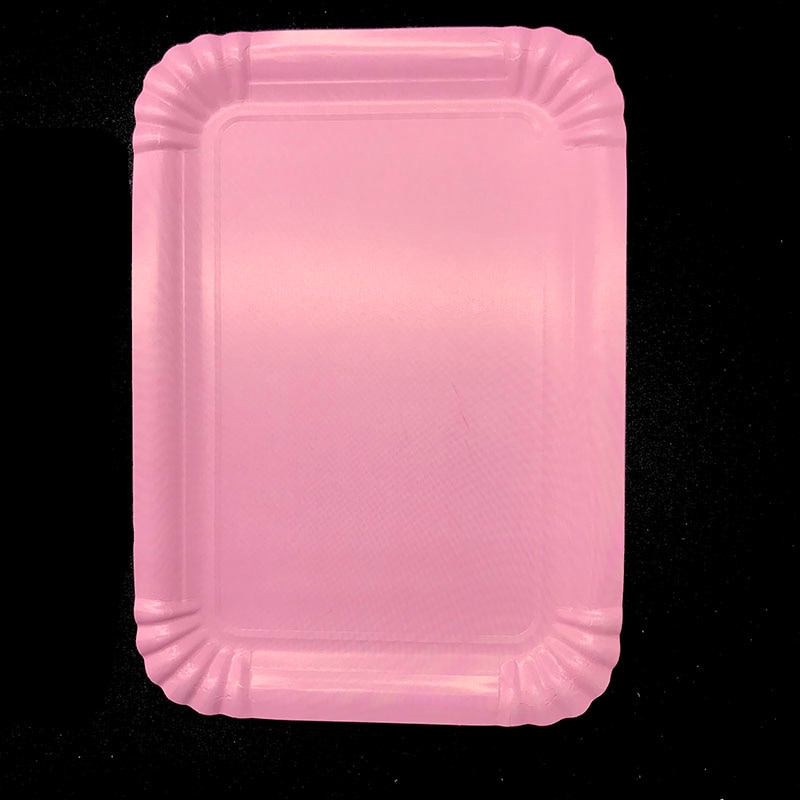 Disposable Plates Rectangular Shaped (Set of 10)