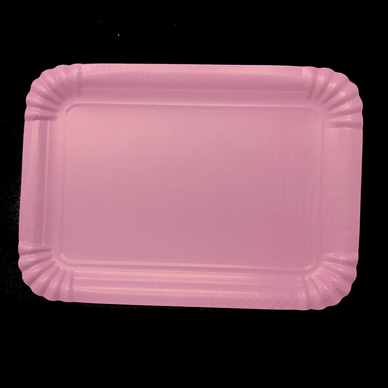 Disposable Plates Rectangular Shaped (Set of 10)