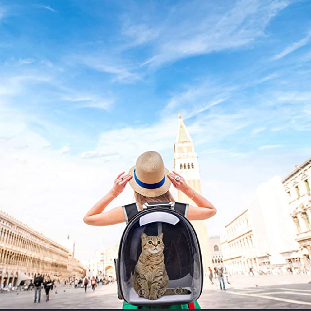 Pet Travel Backpack Transparent Pet Carrier Bag