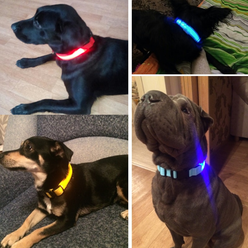 LED Collar Dog Pet Anti-Lost Necklace