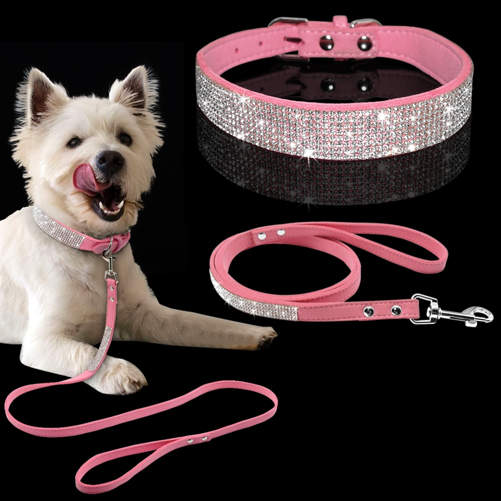 Dog Collar and Leash Set