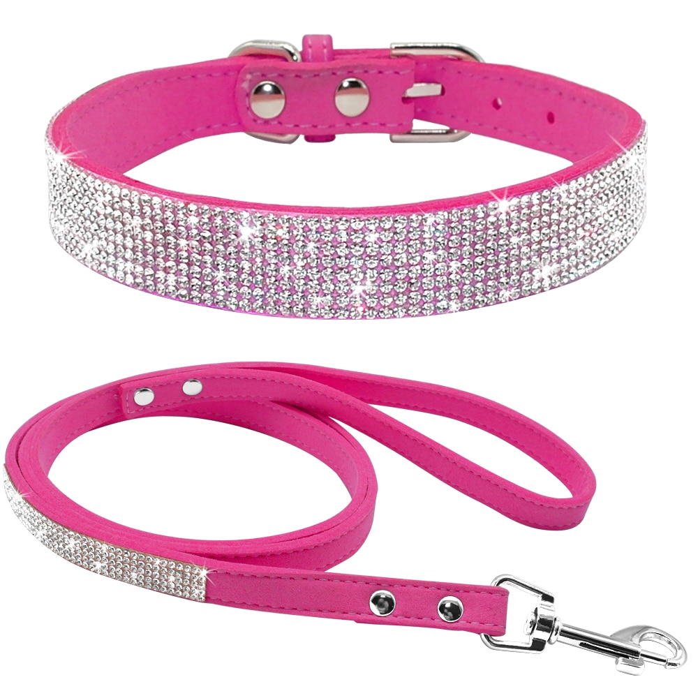 Dog Collar and Leash Set