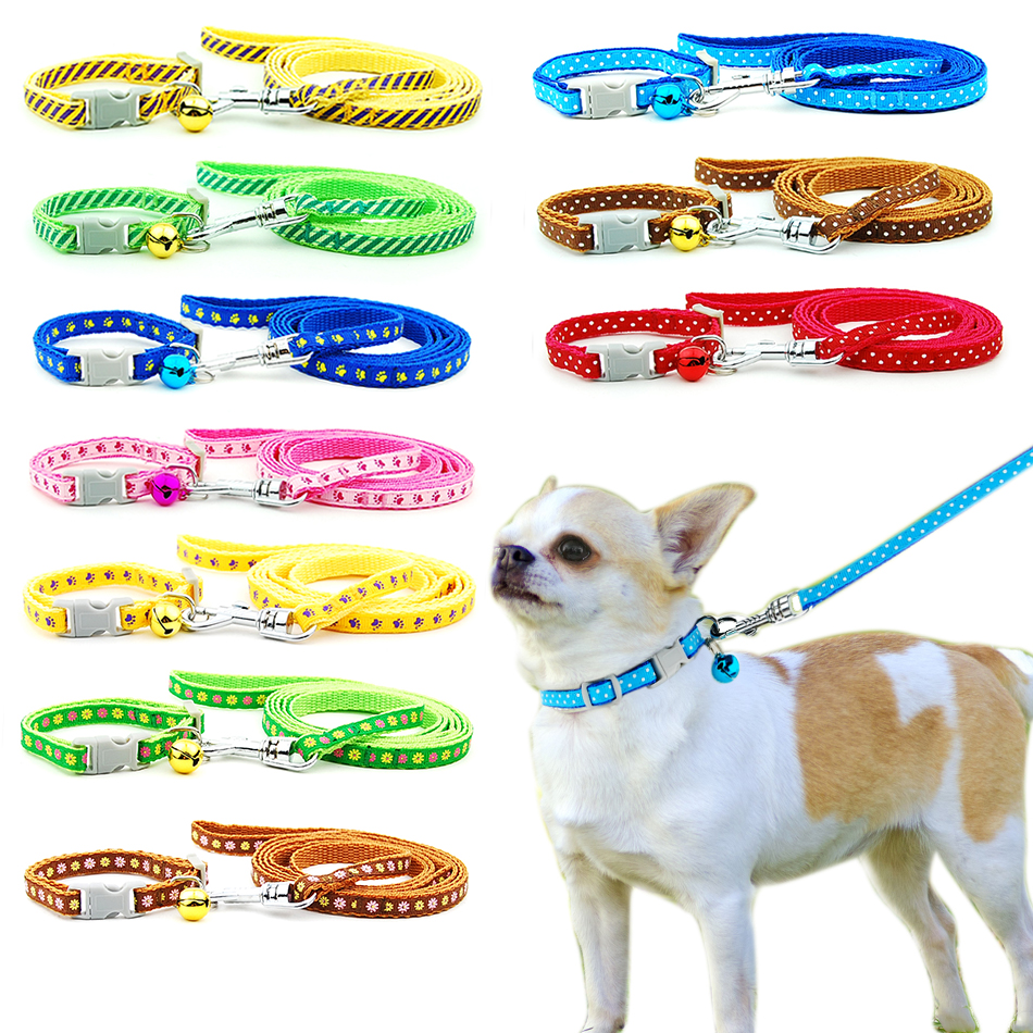 Collar and Leash for Small Pets