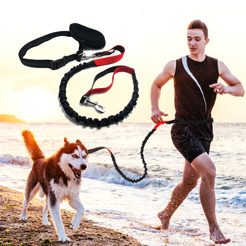 Dog Running Leash Elastic Rope