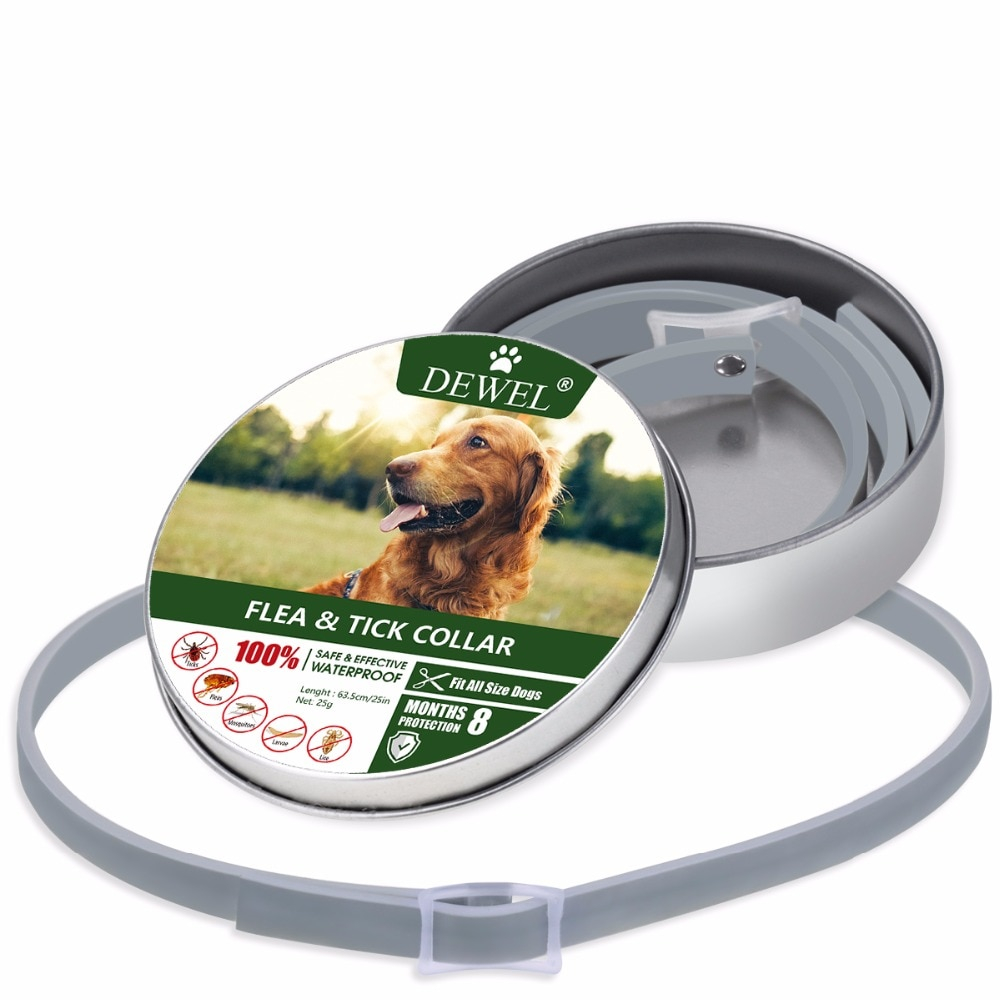 Flea Collar Pet Dog Leash