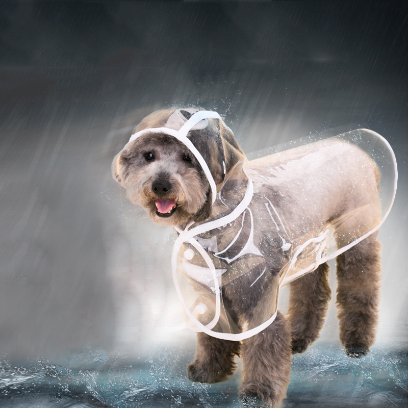 Transparent Waterproof Dog Rain Coat