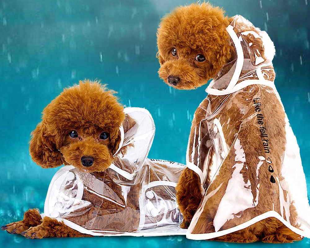 Dog Raincoat Light Rain Guard