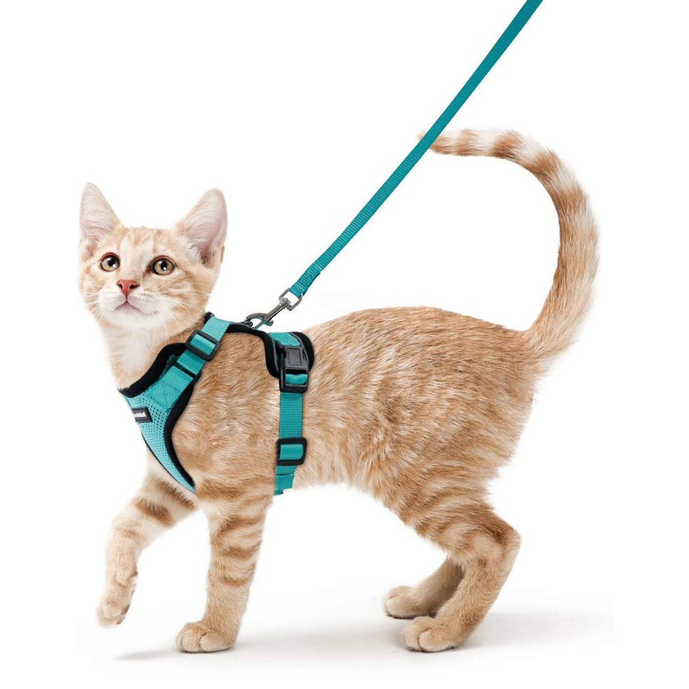 Cat Vest Harness And Leash Set