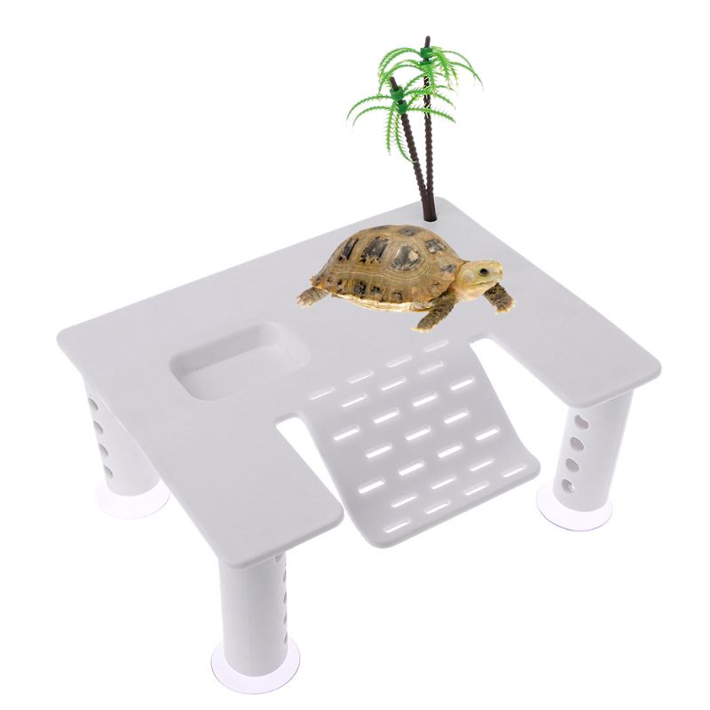 Plastic Turtle Ramp with Suction Cups