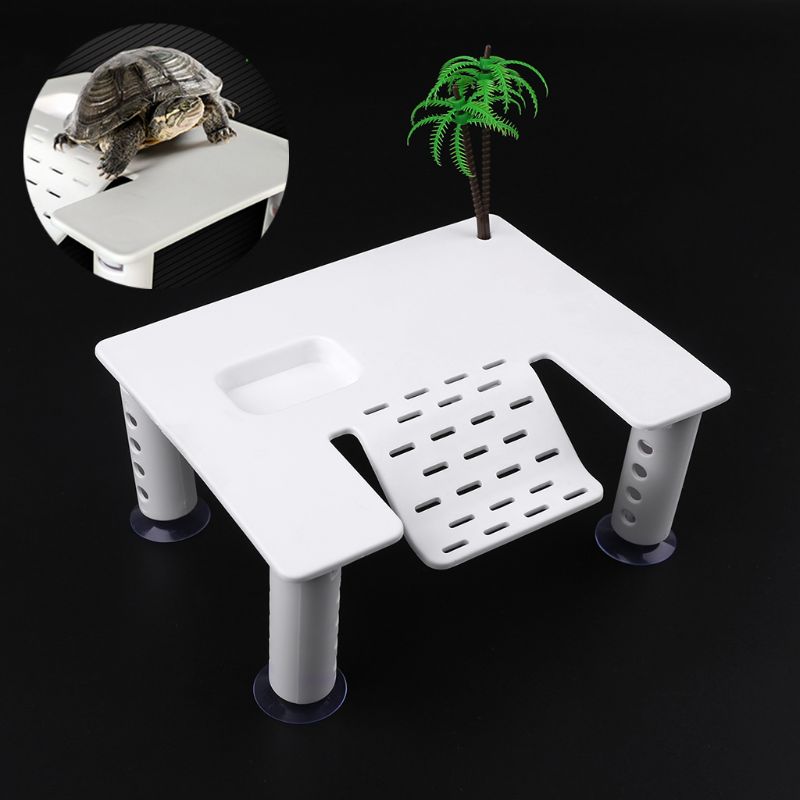 Plastic Turtle Ramp with Suction Cups