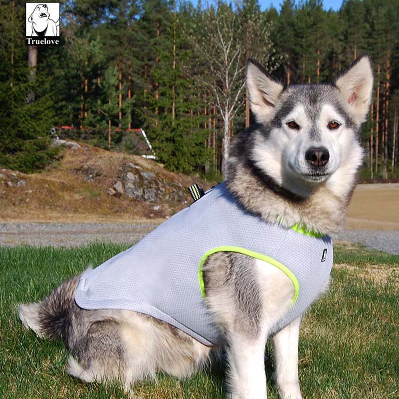 Reflective Adjustable Dog Cooling Vest