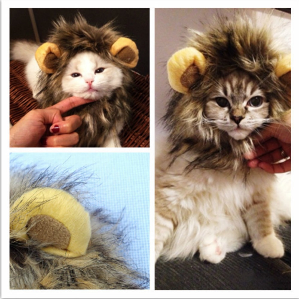 Cat Lion Maine Funny Pet Costume