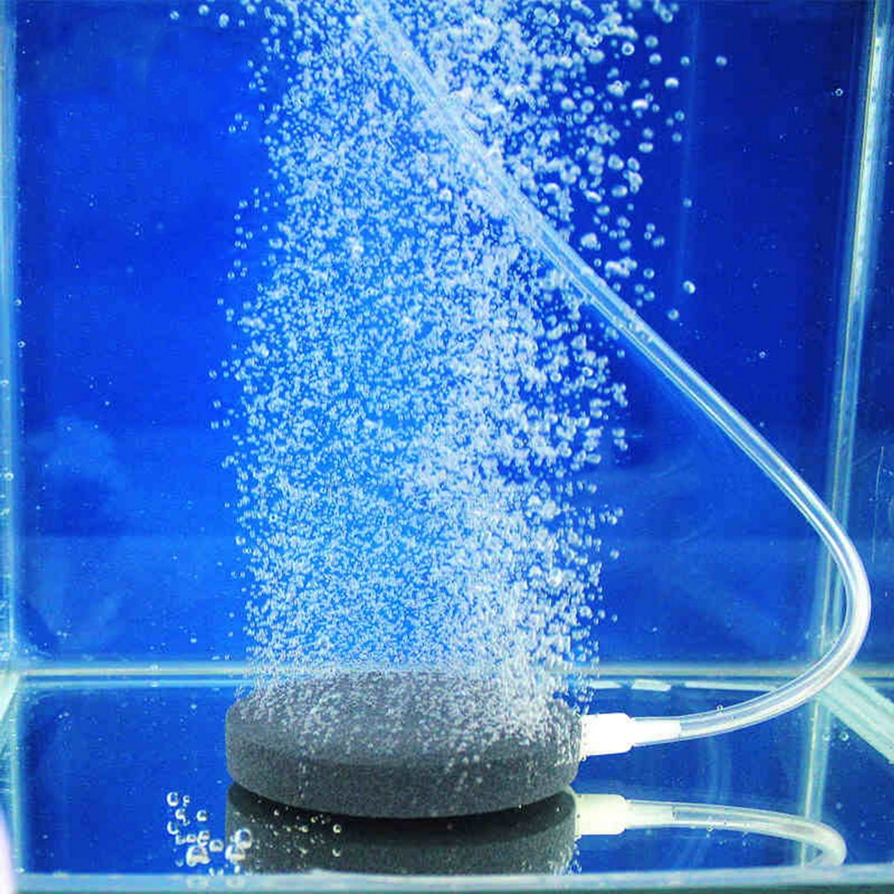 Fish Tank Bubble Stone Aerator