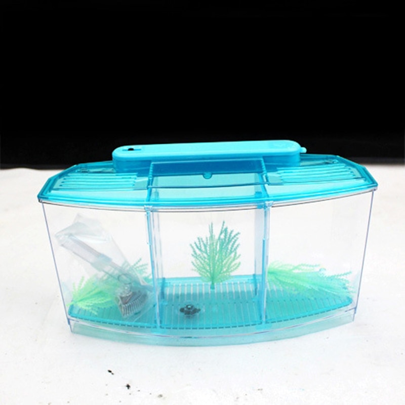 Triple Betta Tank Acrylic Enclosure with LED Lights