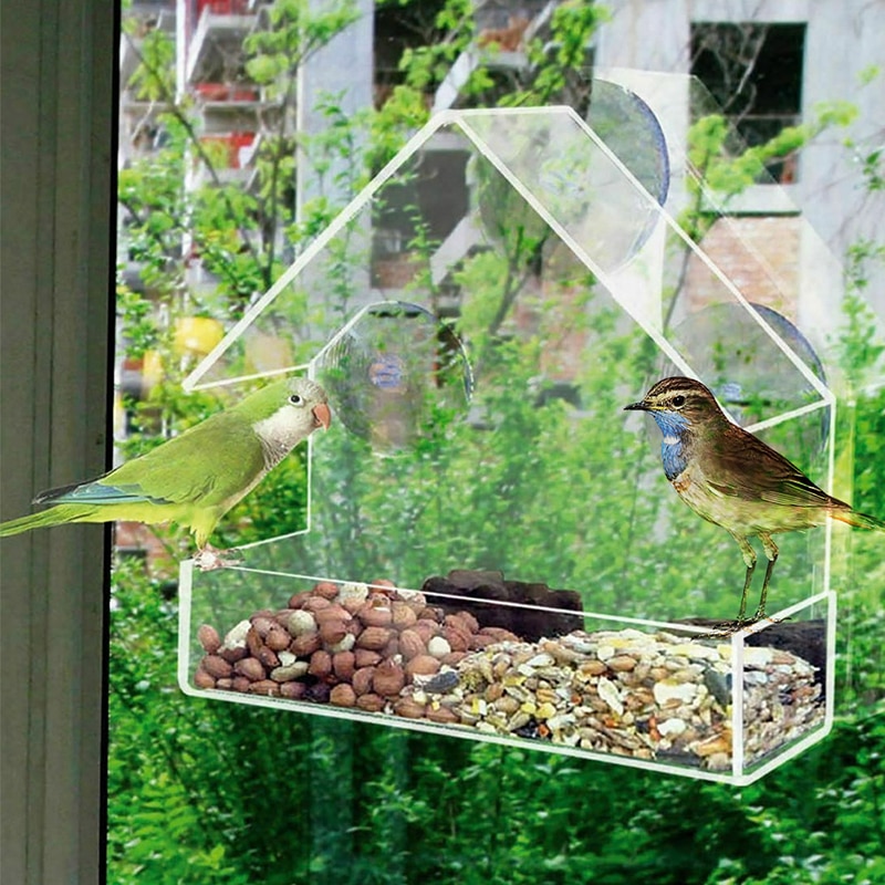 Clear Birdhouse Window Shelter Feeder