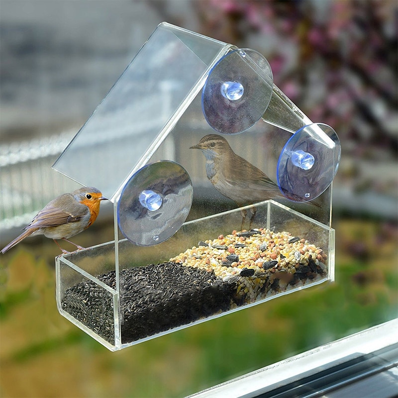 Clear Birdhouse Window Shelter Feeder