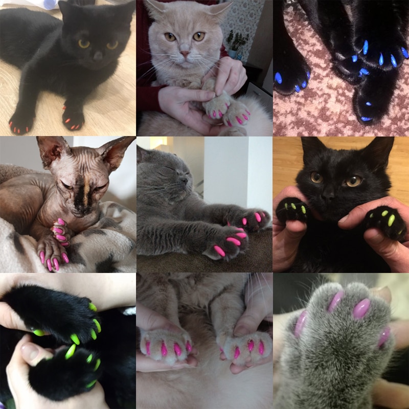 Cat Claw Caps Nail Covers (20pcs)