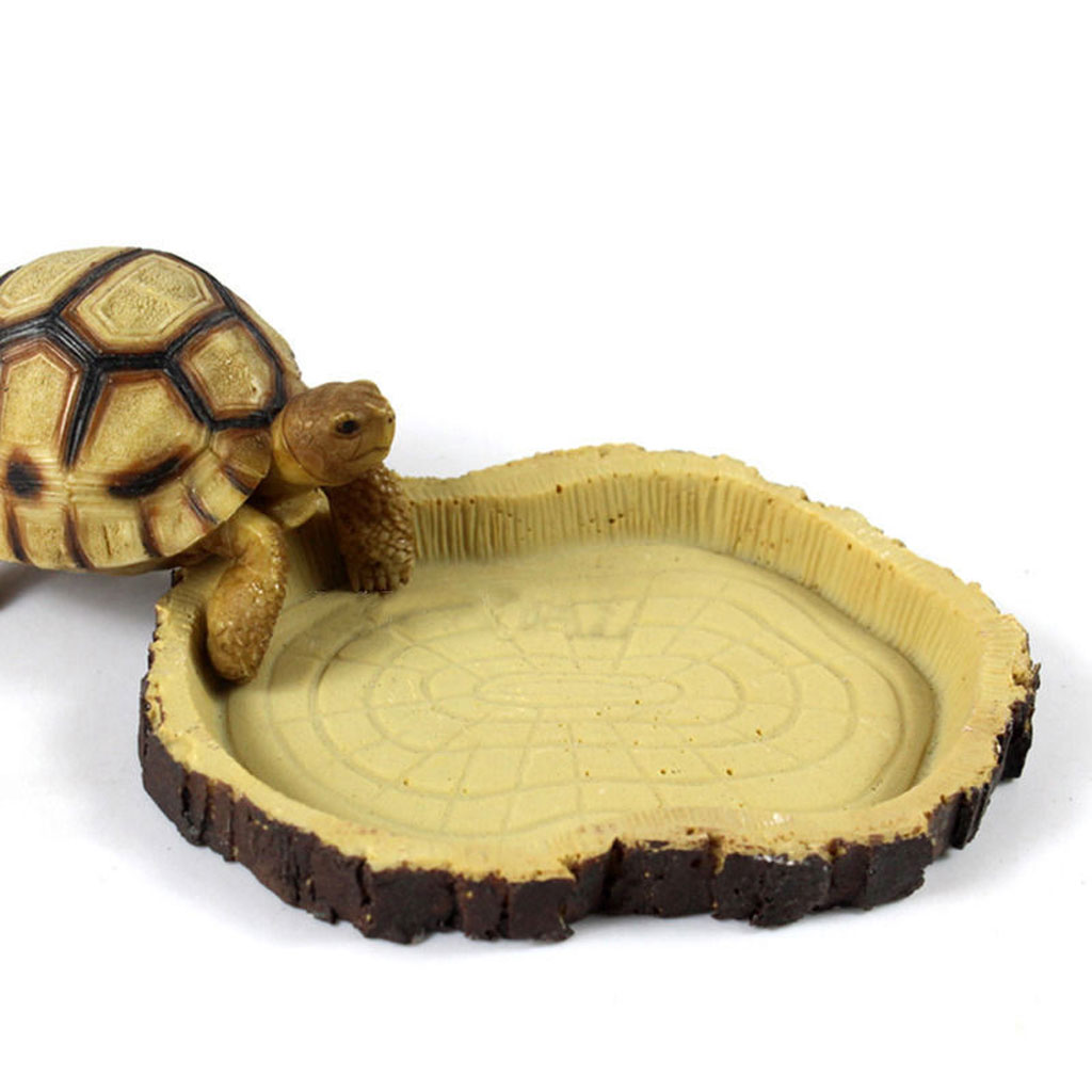 Reptile Bowl Resin Feeding Dish