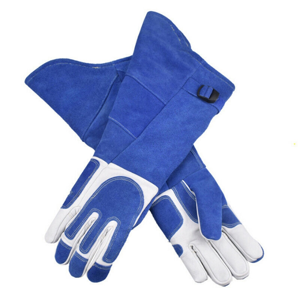 Bird Handling Gloves Training Supplies