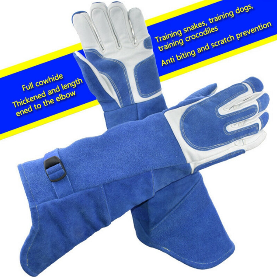 Bird Handling Gloves Training Supplies