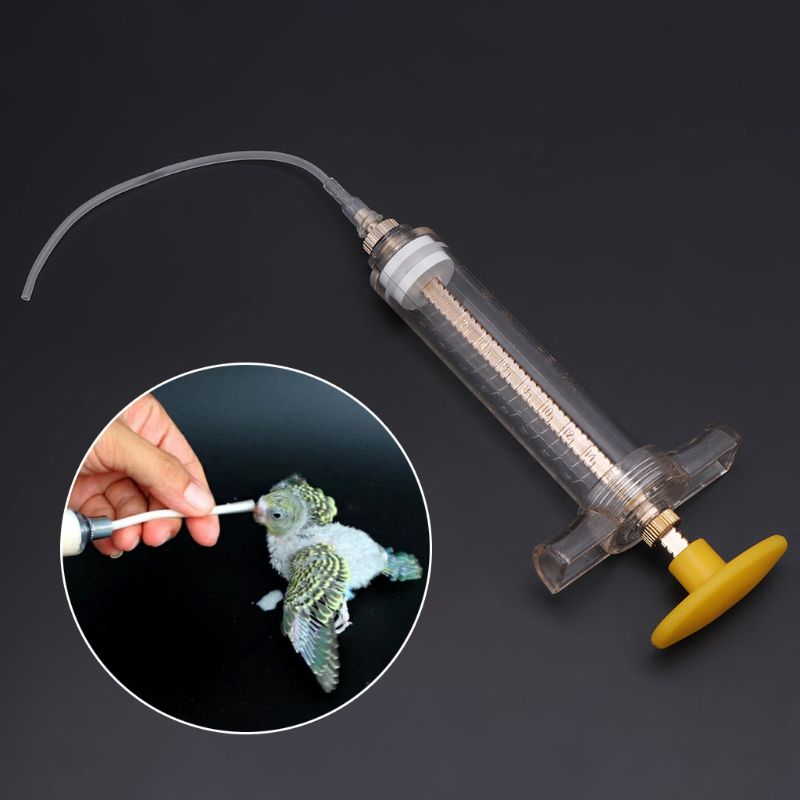 Bird Feeding Syringe Pet Feeder