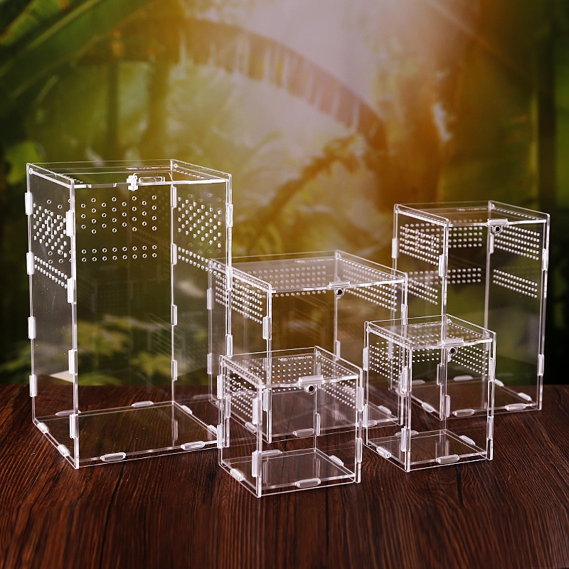 Acrylic Tarantula Enclosure Pet Box