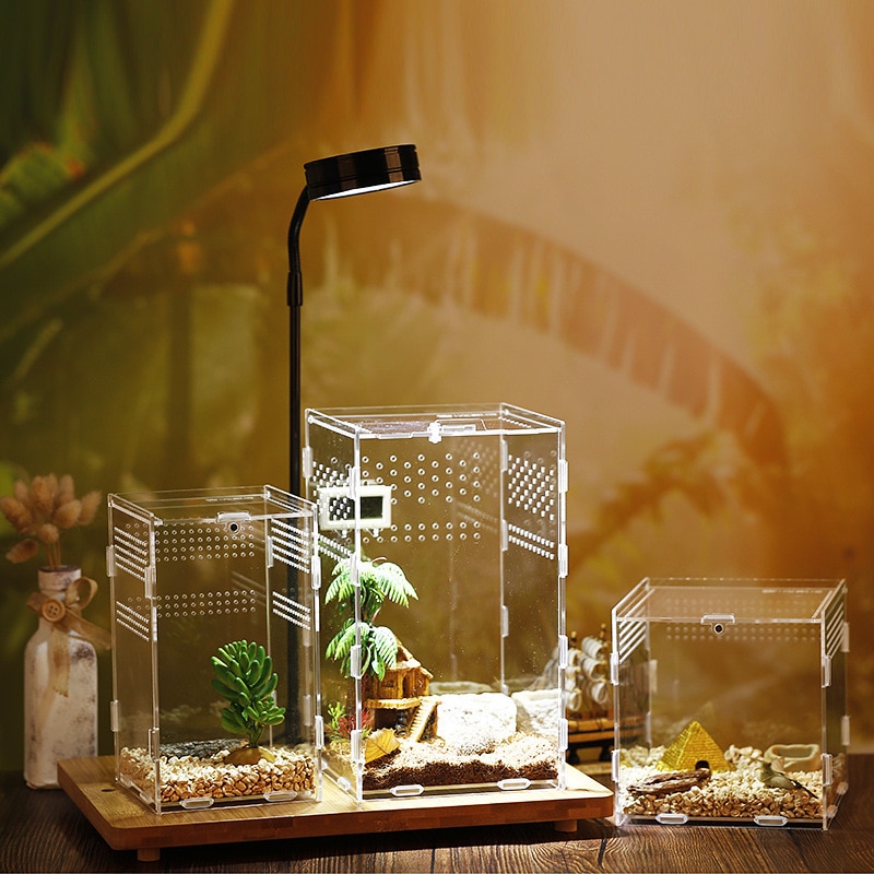 Acrylic Tarantula Enclosure Pet Box