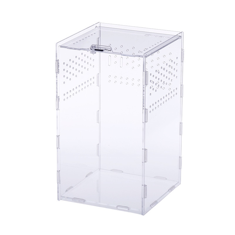 Acrylic Tarantula Enclosure Pet Box