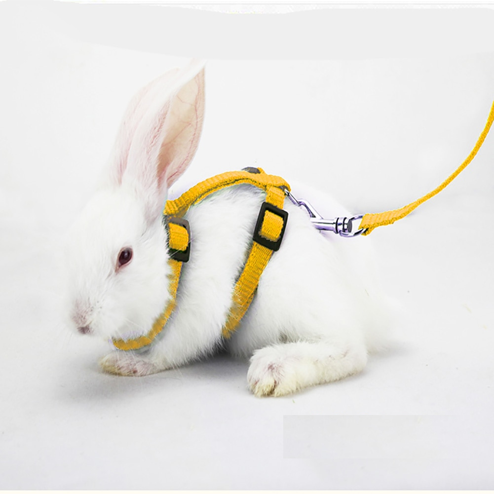 Rabbit Harness and Leash Pet Accessory