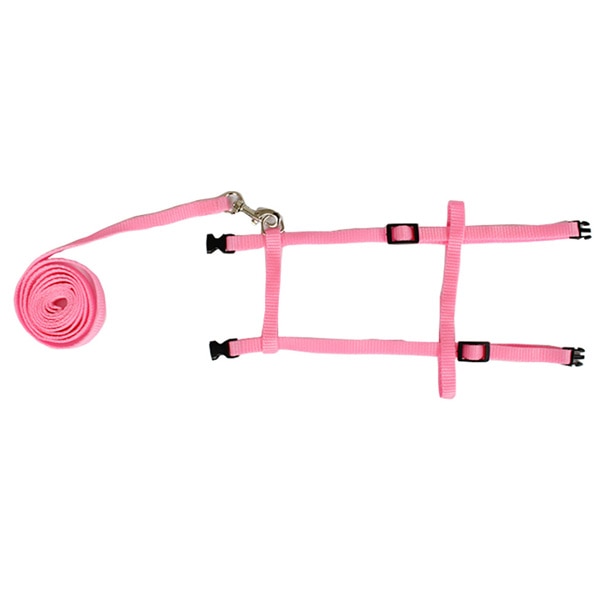 Rabbit Harness and Leash Pet Accessory