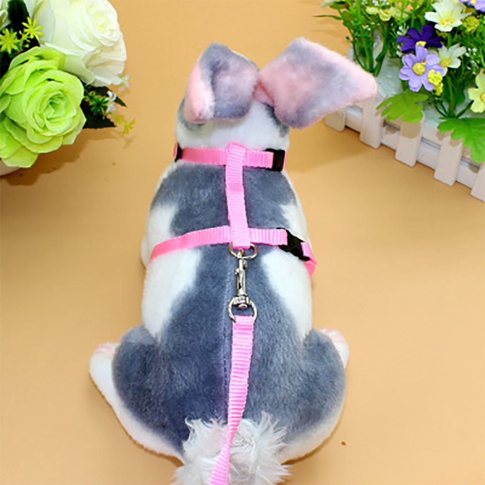 Rabbit Harness and Leash Pet Accessory