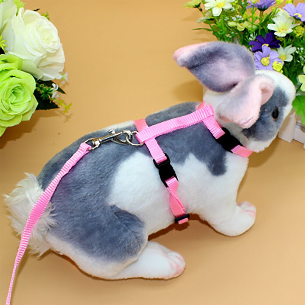 Rabbit Harness and Leash Pet Accessory