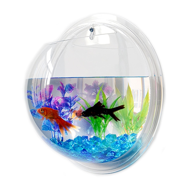 Hanging Fish Bowl Plant Wall Aquarium