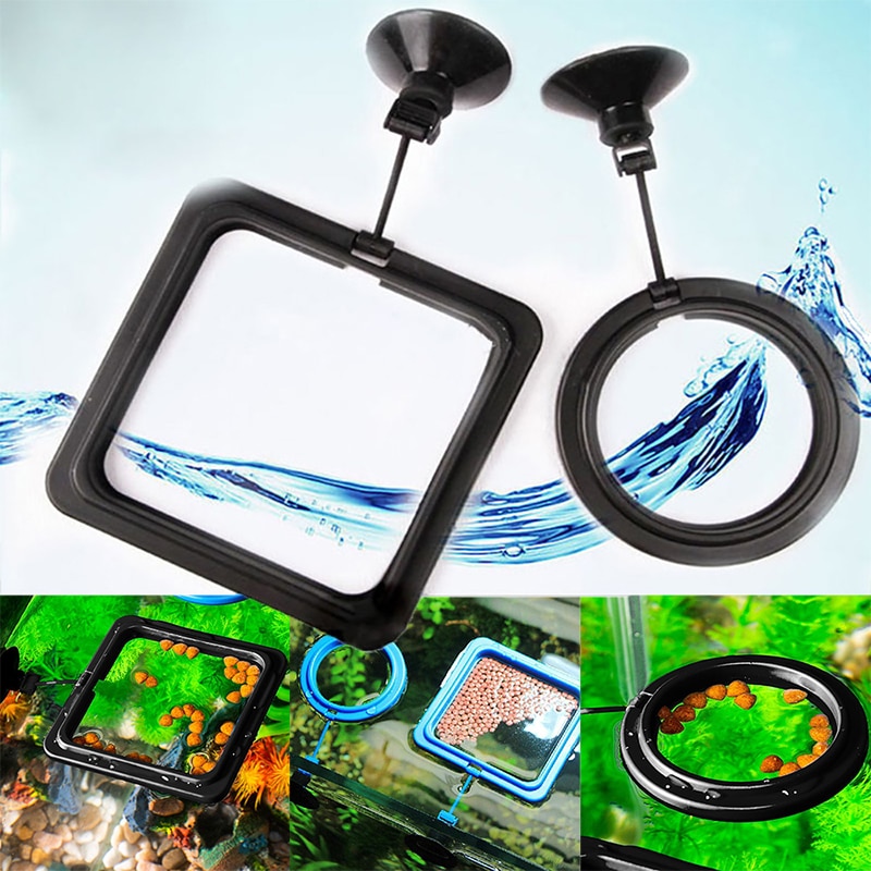 Floating Fish Feeder Aquarium Accessory 