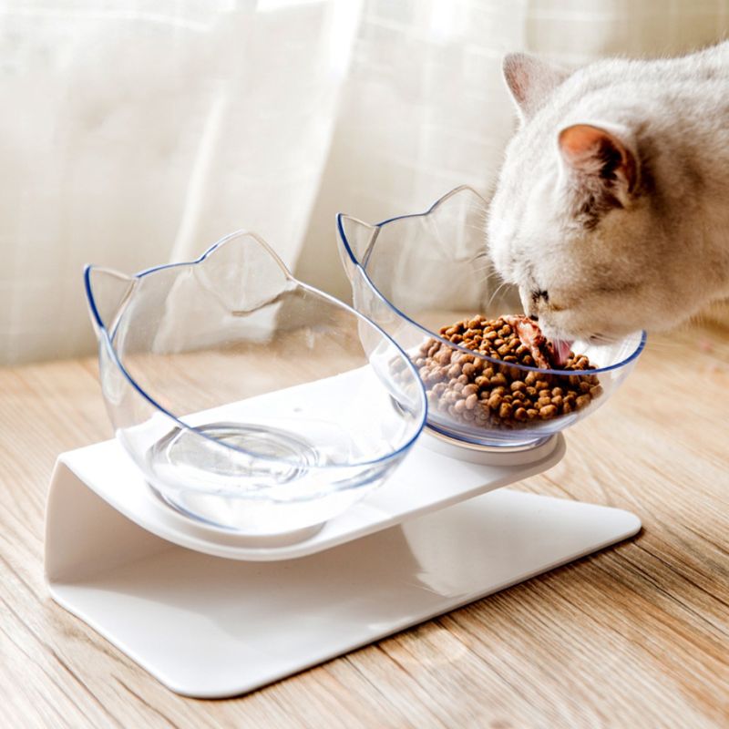 Raised Pet Bowls Food and Water Bowls (2Pcs)