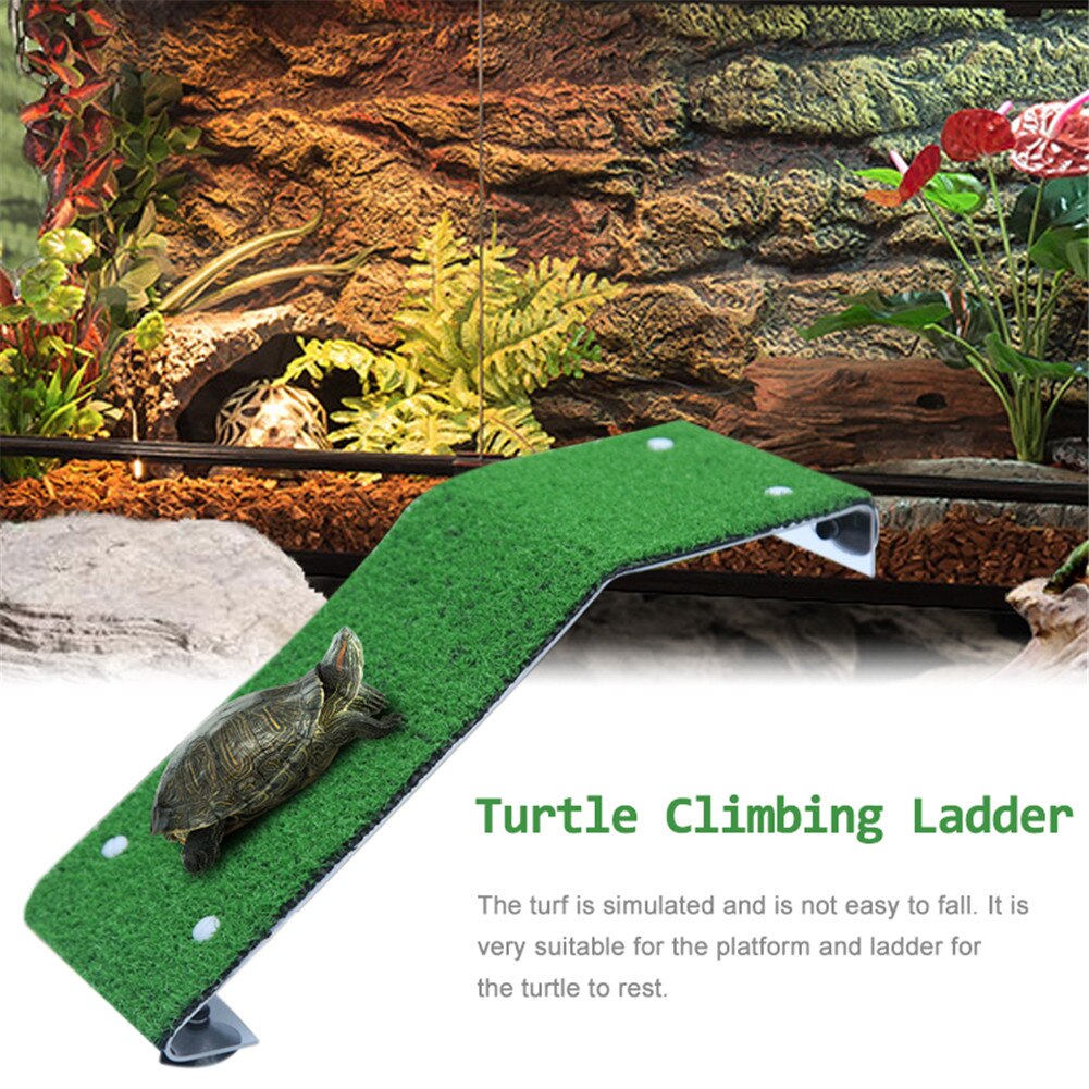 Turtle Platform Aquarium Decoration 