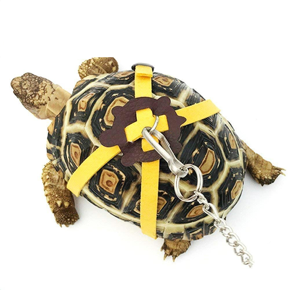 Turtle Leash Pet Accessory