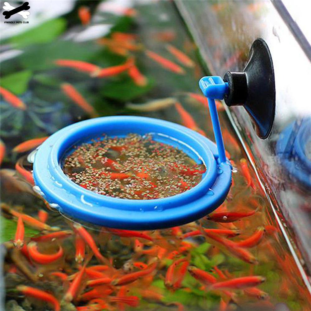 Feeding Ring with Suction Cup