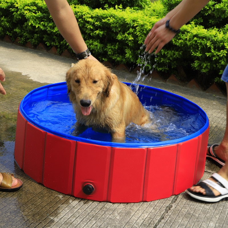 Foldable Dog Pool PVC Swimming Pool