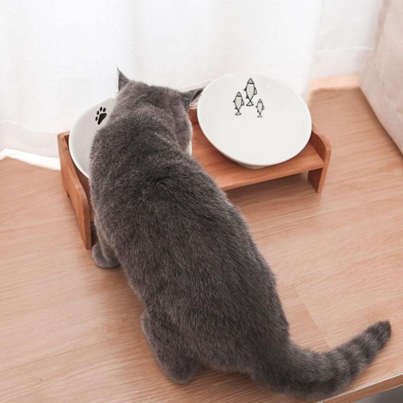 Raised Cat Bowls Double Bowl Feeder Stand